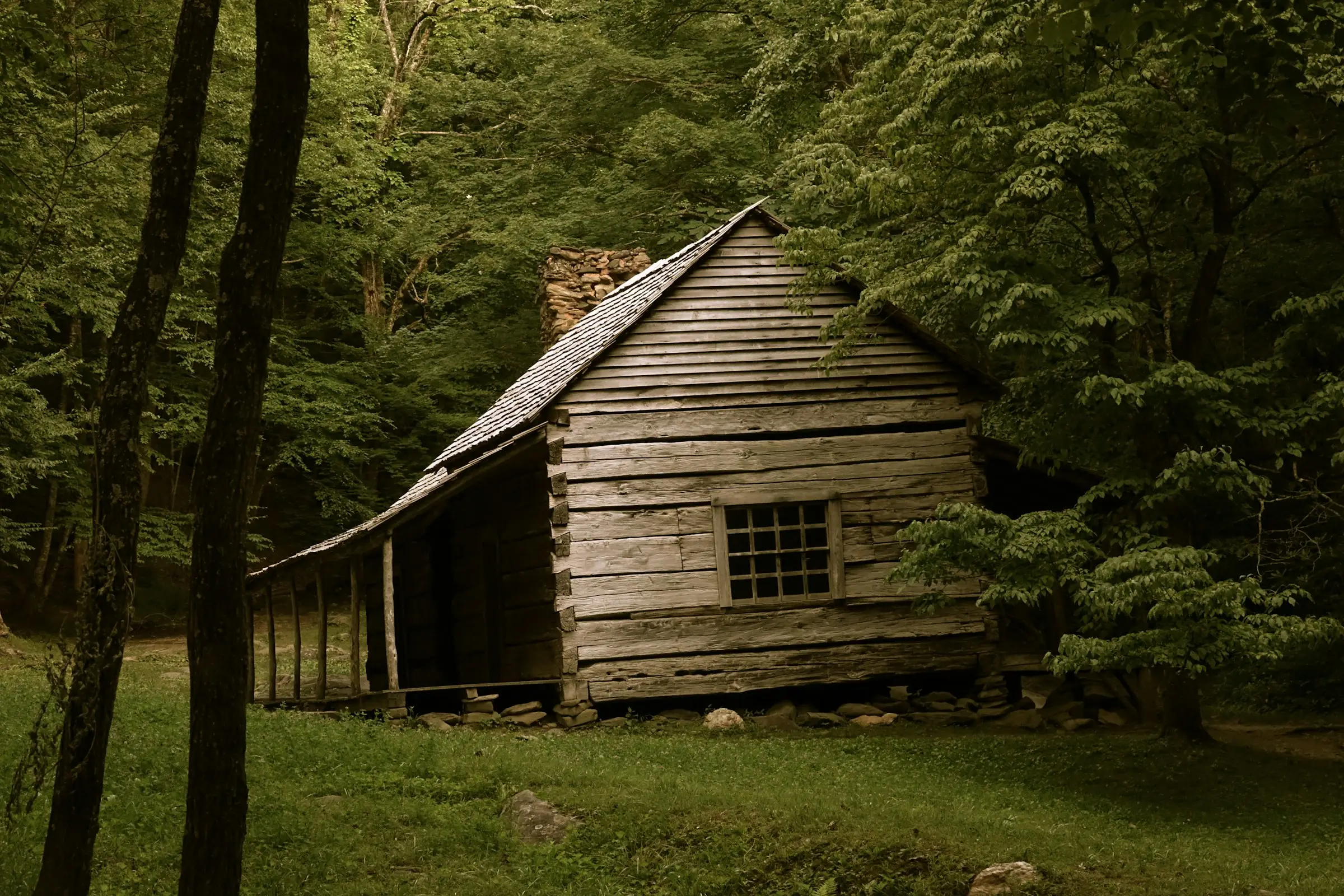 Cabaña rústica de tablas de madera en el bosque, con pasto alrededor