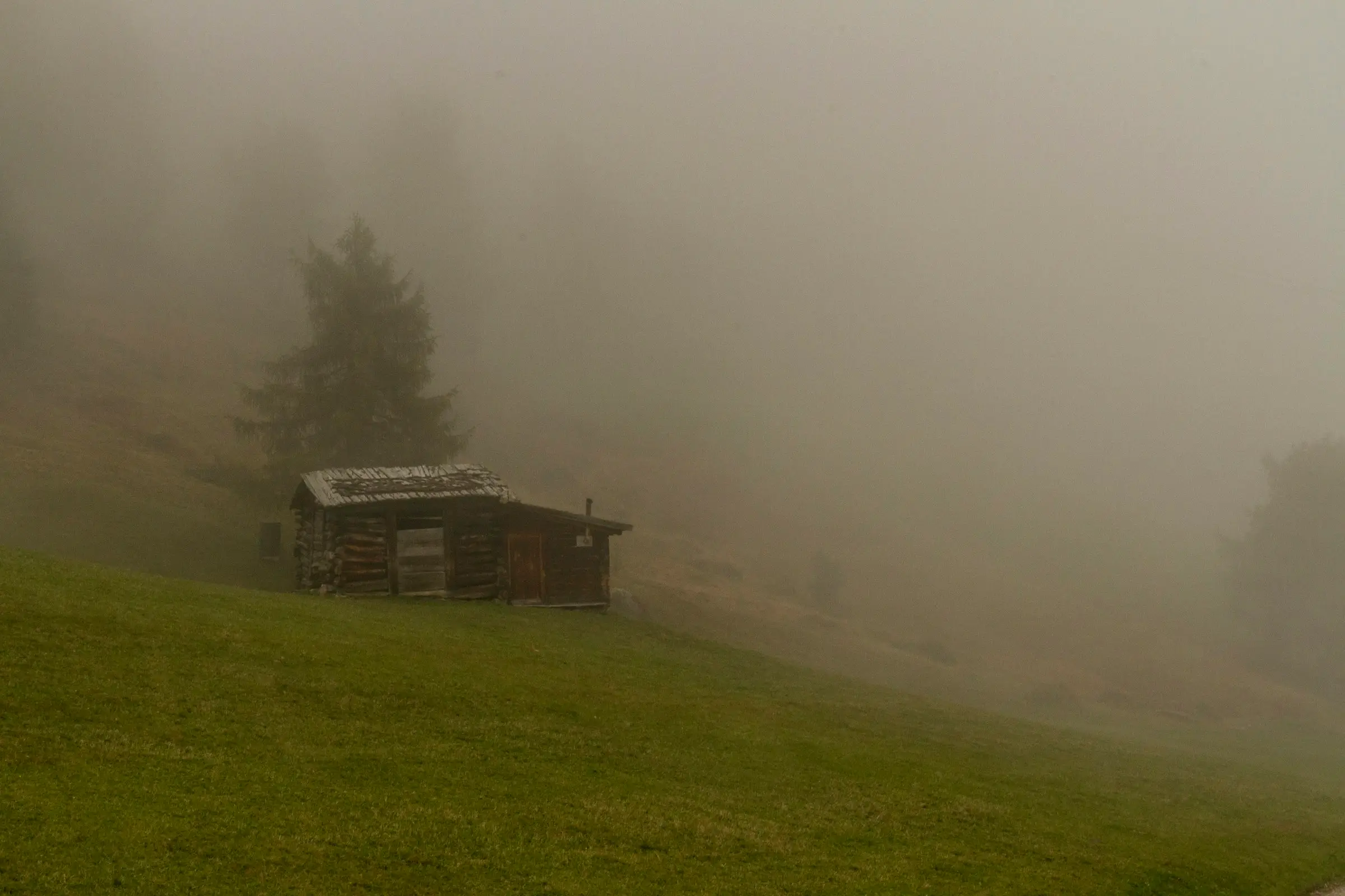 Cabaña de madera en una ladera de pasto cubierta de niebla