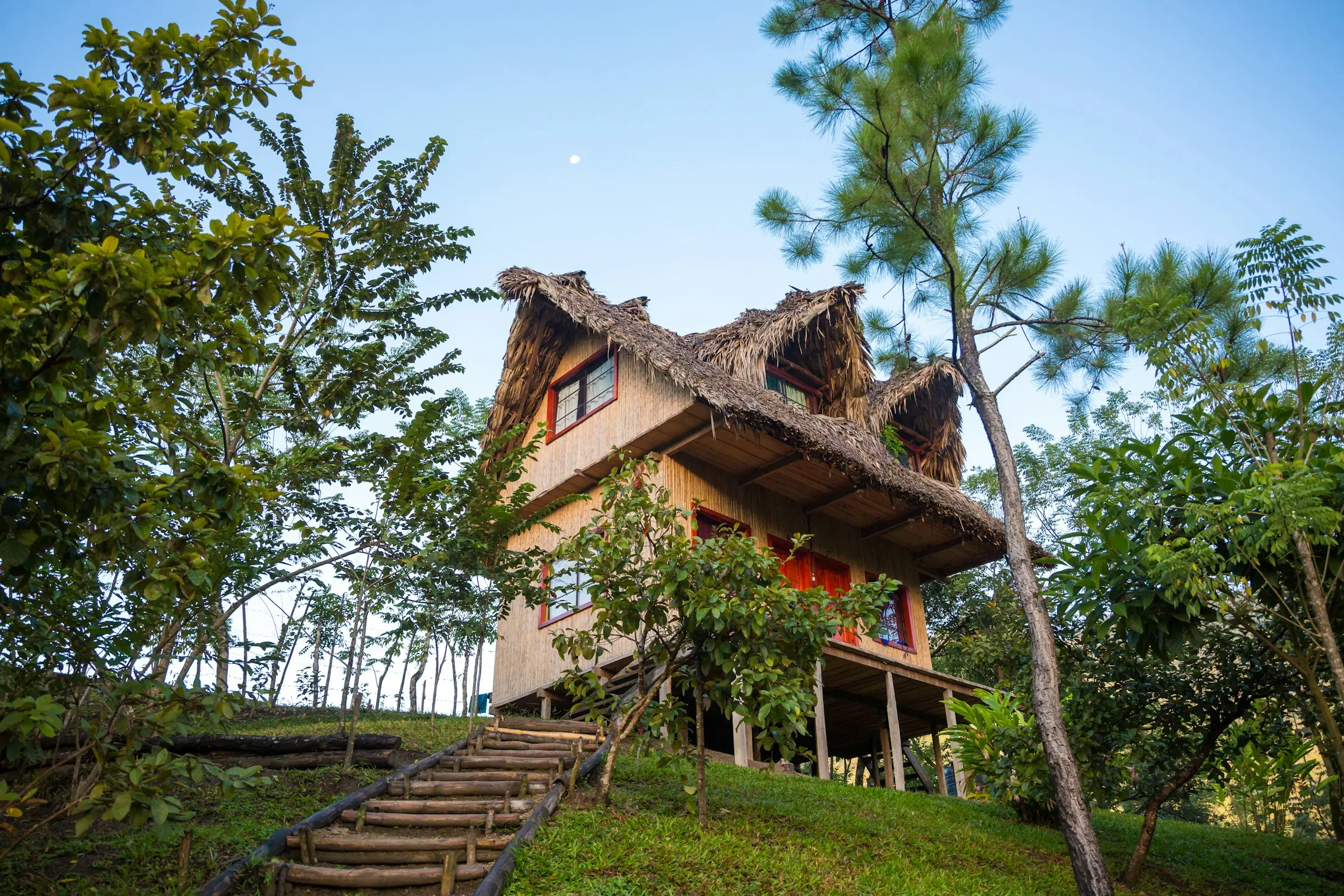 Chalet de madera con techo de paja y escalera de piedra entre los árboles