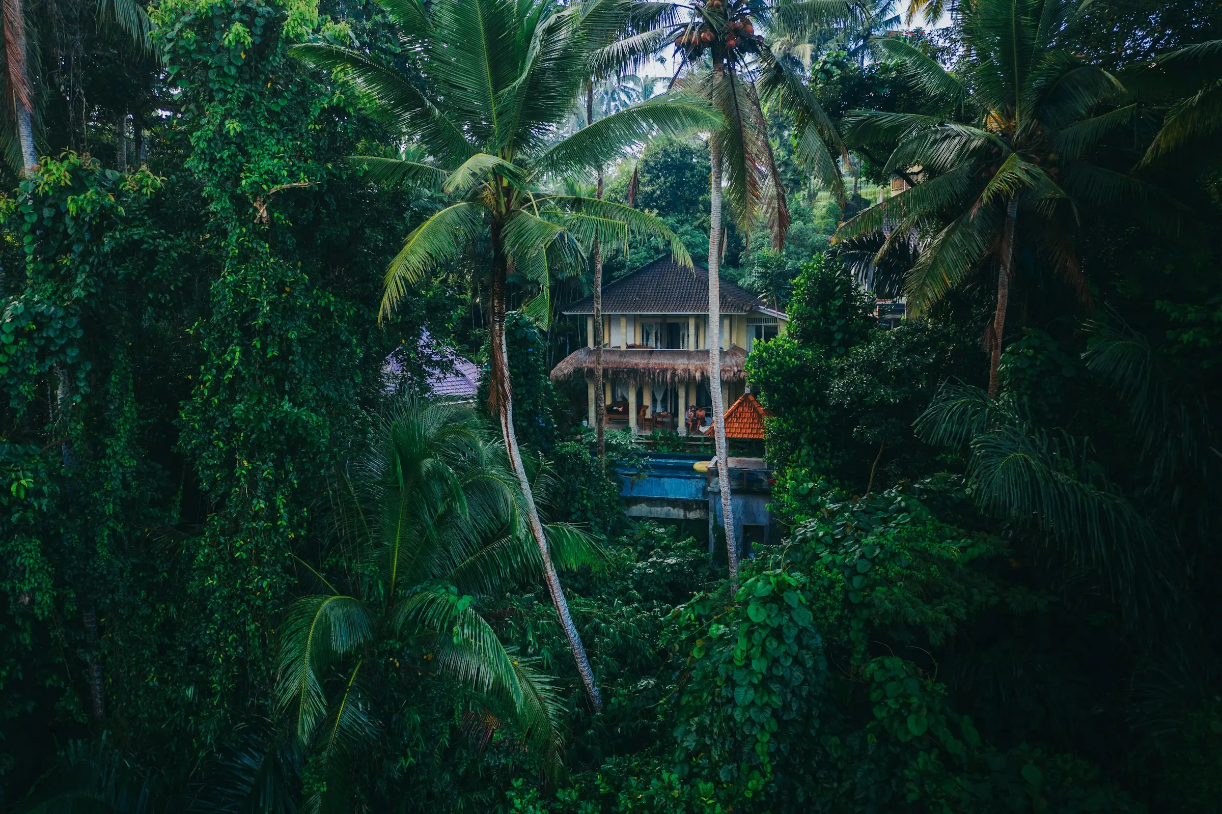 Casa de madera escondida entre palmas y selva