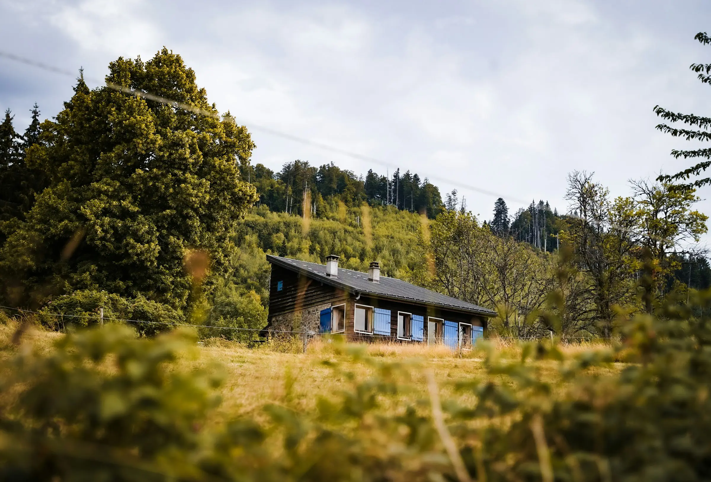 Casa de madera en una ladera con pasto alto y bosque detrás