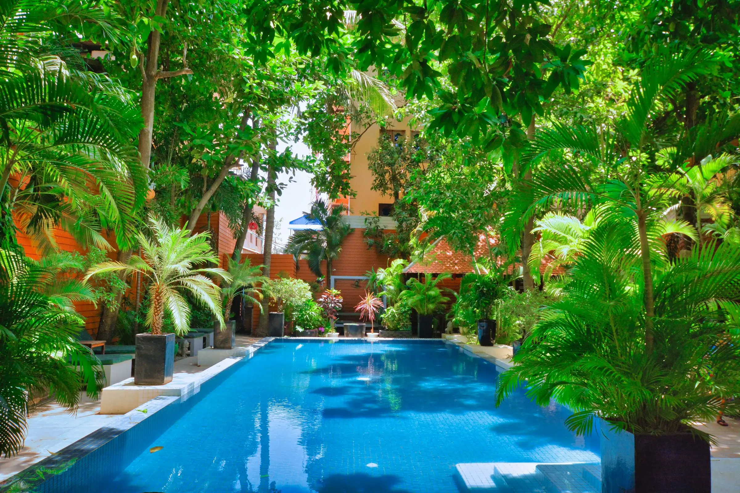 Piscina rodeada de plantas tropicales y árboles
