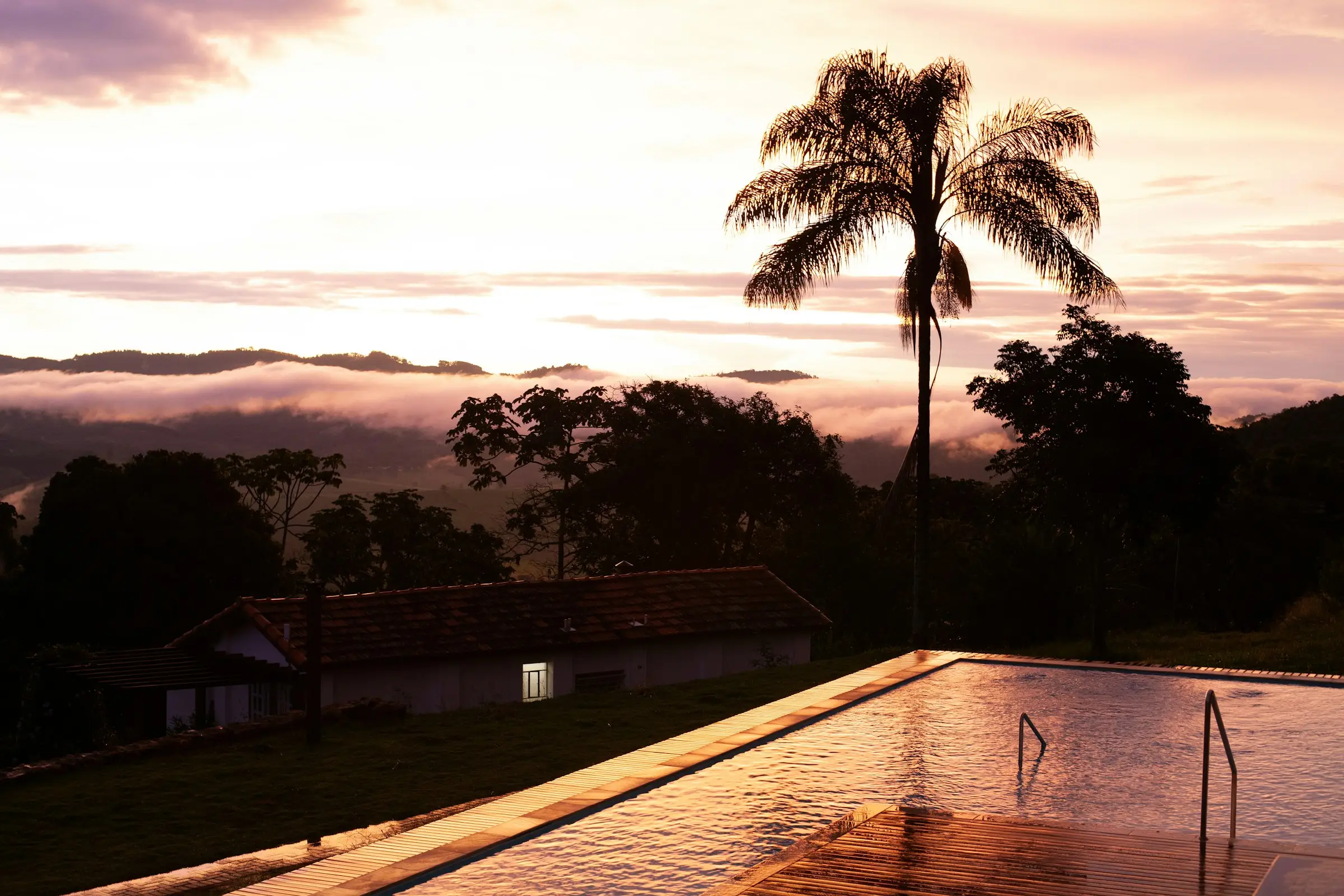 Piscina de borde infinito al atardecer, con una palma y montañas al fondo