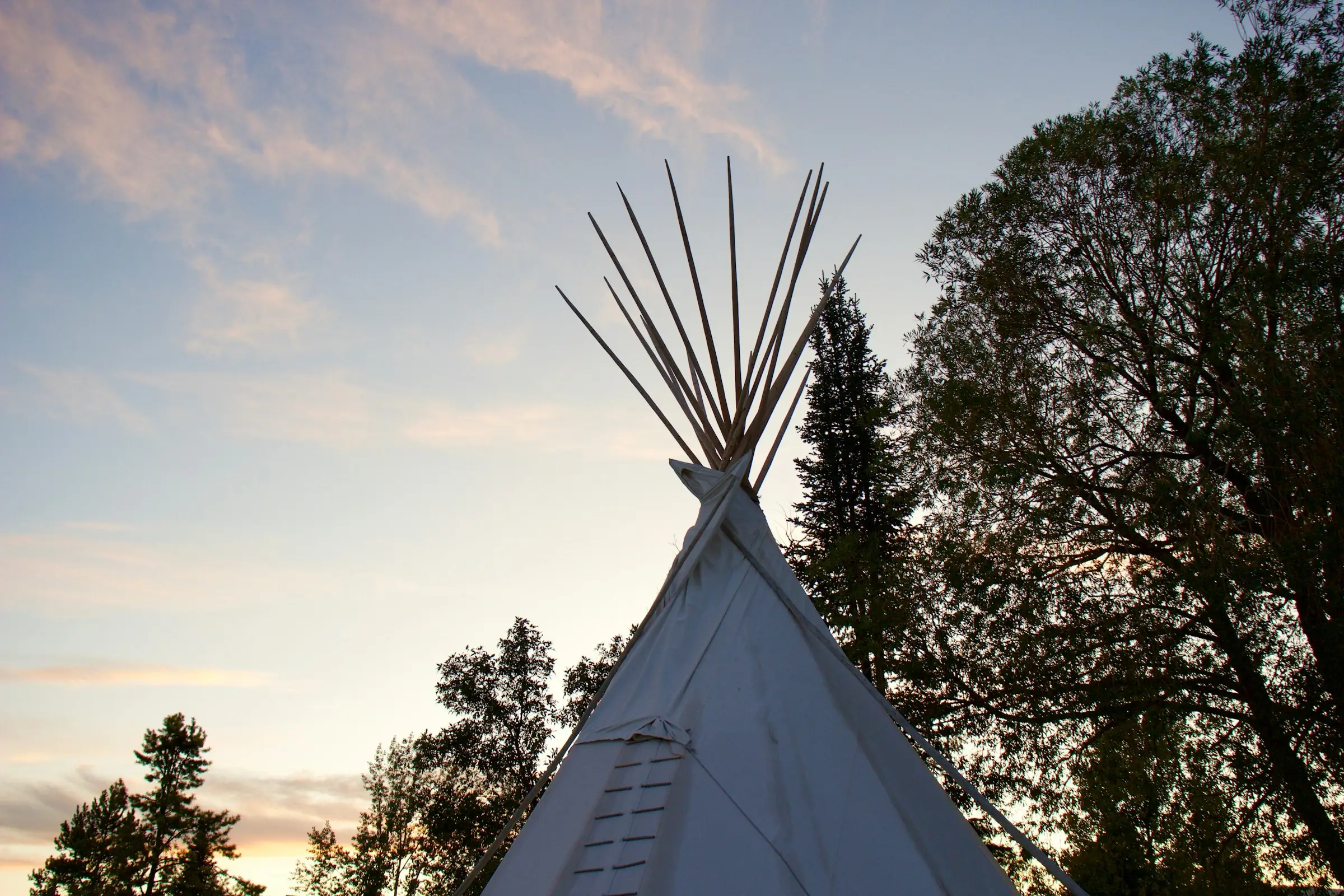 Tipi blanco al atardecer junto a los árboles